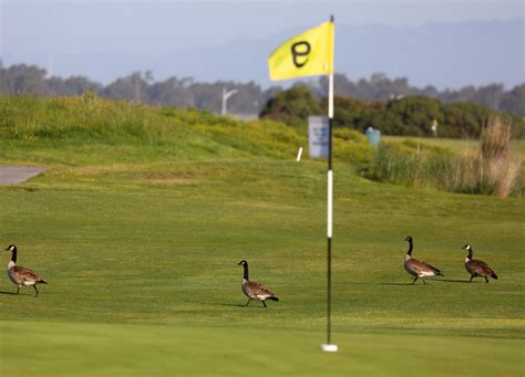Holes-in-one: Aces carded from around Bay Area golf courses
